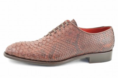 serpiente marron5